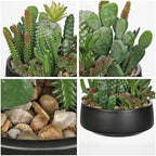 DILATATA Artificial Cactus Plants in Pot 5.5 Inch Fake Succulents Arrangement Potted Plant in Black Ceramic Planter Bowl for Home Office Desk Shelf Living Room Bedroom Bathroom Decor - Image 3