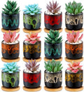 12 Pcs Succulent Pots 2.5 Inch Mini Ceramic Succulent Garden Flower Pots Planters with Drainage and Bamboo Tray for Indoor Garden Plants Planters Colorful Flower Pot(Cylindrical,2.3 Inch H) by RimCereal