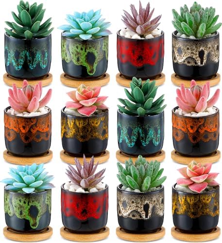 12 Pcs Succulent Pots 2.5 Inch Mini Ceramic Succulent Garden Flower Pots Planters with Drainage and Bamboo Tray for Indoor Garden Plants Planters Colorful Flower Pot(Cylindrical,2.3 Inch H) by RimCereal