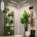 LBW Grow Lights for Indoor Plants, 75" Tall Full Spectrum Plant Grow Light by LBW