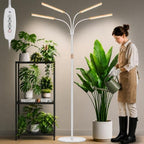 LBW Grow Lights for Indoor Plants, 75" Tall Full Spectrum Plant Grow Light by LBW