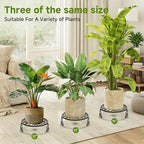 NSYOOMH 3-Pack Sturdy Plant Stand for Outdoor Indoor,Potted Plant Riser 11" - Image 2