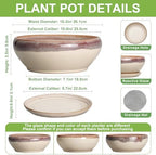 SQOWL Bonsai Tree Pots - 10 Inch Ceramic Succulent Pots, Round Shallow Planter with Drainage Hole and Tray, Bowl Planter for Indoor Outdoor Plants Flowers, Room Decor, Garden Gifts, Beige - Image 2