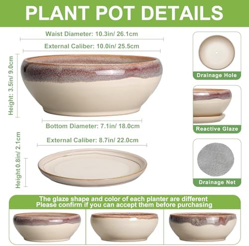 SQOWL Bonsai Tree Pots - 10 Inch Ceramic Succulent Pots, Round Shallow Planter with Drainage Hole and Tray, Bowl Planter for Indoor Outdoor Plants Flowers, Room Decor, Garden Gifts, Beige - Image 2