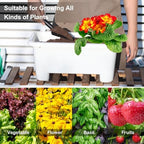 Oliz Self-Watering Rectangle Planter Boxes 8-Pack, 15.7-Inch Window Box Planter with Drainage Holes & Trays, Pots for Vegetables, Herbs, Flowers, Garden Windowsill Balcony (White) - Image 5