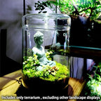 SARUFO Small Glass Plant Terrarium 4.7"X7" Inches Succulent Air Planter Fern Moss Micro-Landscape Vase for Home Garden Office Tabletop Decoration Container with Lid Indoor Wardian Copyright Patent - Image 4