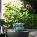 SQOWL Ceramic Pot for Plants - 6 Inch Ceramic Planter with Drainage Hole and Saucer, Round Flower Pot for Indoor Outdoor, Decorative Small Planter, Room Home Decor, Plant Lover Gifts, Green - Image 4