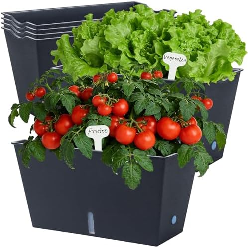 Window Box Planter 6 Pcs, 12.1 Inches Self Watering Plant Pots Rectangle Flower Pots with Drainage Holes and Breathable Trays, Vegetable Planters for Windowsill Patio Garden Balcony Porch Yard (Black) by Oliz