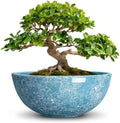 Bonsai Tree Pots 12 Inch, Ceramic Succulent Planters, Droplet Blue by Unknown