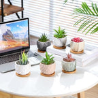 Ziliny Marbling Ceramic Flower Pot 3.35 Inch Succulent Small Plant Cactus Herbs Planter Ceramic Pot with Drainage Hole Matte Round Container(6 Pcs,Elegance Style) - Image 4