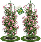 2 Pack Garden Obelisk Trellis for Climbing Plants, 6 FT Metal Rustproof Plant Support Rose Trellis, Tower Potted Cages for Flowers Fruits Vegetable Vines Indoor & Outdoor, Green(4 Tiers) by MQHUAYU