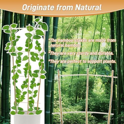 10 Pack 3ft Bamboo Trellis for Climbing Plants, Fan-Shaped Garden Support - Image 3