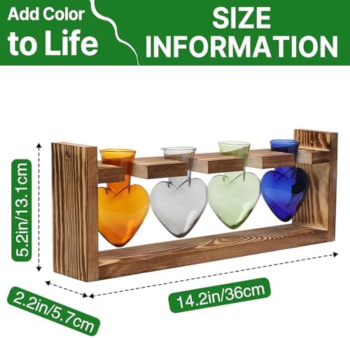 Plant Propagation Stations Heart Plant Terrarium Kit - Image 4