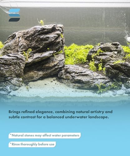 SubstrateSource Natural Aquarium Stones - Soft Grey to Bluish-Grey w/Subtle White Veins - Iwagumi Aquascaping Rocks, Freshwater Tanks, Betta Fish Tank, Shrimp, Cichlids - Boutique Seiryu, 30 LB - Image 3