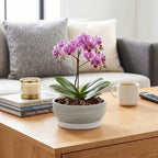 Ceramic Bonsai Planter, 8 Inch Succulent Pot with Tray, Brushed Grey - Image 5
