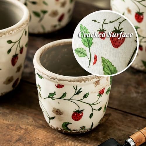 Reto Rustic Ceramic Flower Pots for Garden Plants and Succulents,Distressed Cracked Glazed Planters with Drainage Holes Tuscan Flower Pots for Outdoor,Reds,with Hole - Image 3
