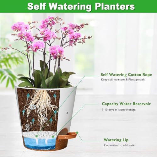 Orchid Pot, 6 Inch Orchid Pots with Holes, 6 Pack Self Watering Plant Pots - Image 2