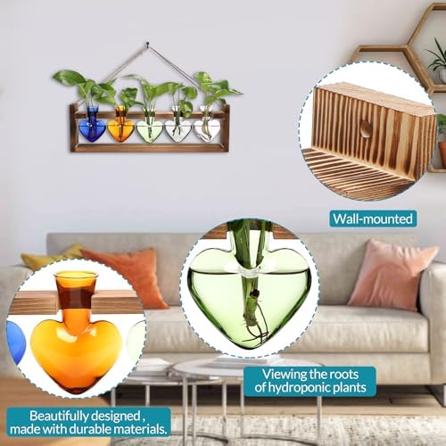 Plant Terrarium Hanging Propagation Stations Gift for Women - Image 4