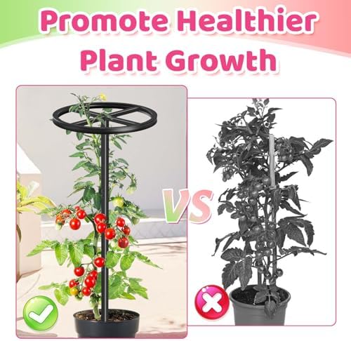 Dragon Fruit Trellis,44" Adjustable Metal Dragon Fruit Plant,2 Pcs - Image 3