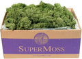 SuperMoss (25155) Reindeer Moss Preserved, Basil, 3 Pounds by SuperMoss