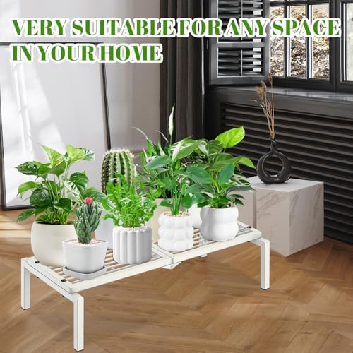 1 Tier Metal Plant Stand Indoor Outdoor, Potted Multiple Flower Pot Holder Rack Plant Shelf, Heavy Duty Planter Display Shelving for Patio Balcony Garden Living Room Decorative (White) - Image 4