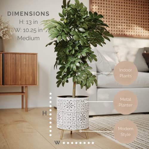 EverNest Tristan Neutral Minimal White and Black Modern Style Planter with Nyra Stand, SelectBase Plant Pots, Indoor Planter, Boho Home Decor, Minimalist Pot for Plants (Medium, Gold) - Image 2
