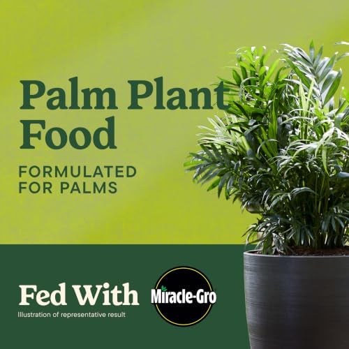Miracle-Gro Shake 'N Feed Palm Plant Food, 8 lb. - Image 2