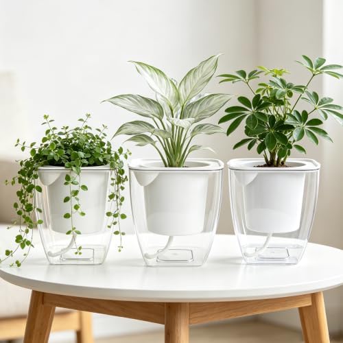 Clear Self Watering Planters, 12 Pack, 4.2 in Square - Image 6