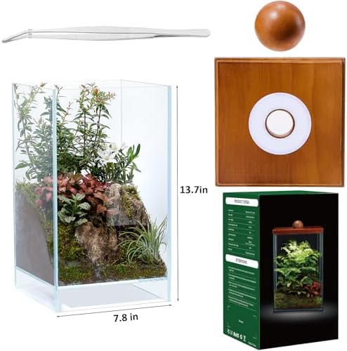 Large Glass Plant Terrarium: 13.7H+7.8W Terrarium with Light - Image 2