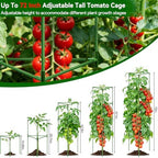 Halatool 4 Pack 72" Tall Tomato Cages for Garden, Large Tomato Trellis - Image 2