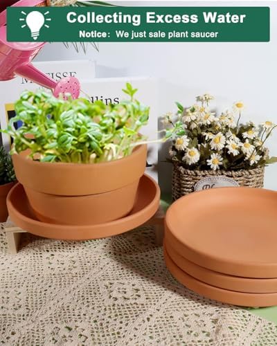 vensovo 9 Inch Terracotta Plant Saucer Pots Tray - 4 Pcs Round Planter Saucers for Indoor & Outdoor Plants, Large Clay Trays Perfect for 8 Inch 8.5 Inch 9 Inch Flower Pot - Image 4