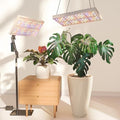 MetryGrow Plant Grow Light, [Smart APP & Expansive 2x2 Ft Coverage] Genuine 60W Output LED Full Spectrum for Indoor Plants, 8-Level Brightness, Supports Hanging & Standing, 270° Folding, 360° Rotation by Unknown