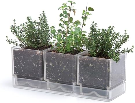 D'vine Dev Acrylic Herb Garden Planter Set, Clear, 76-V-D-1 by DvineDevPlanterPotsandStand