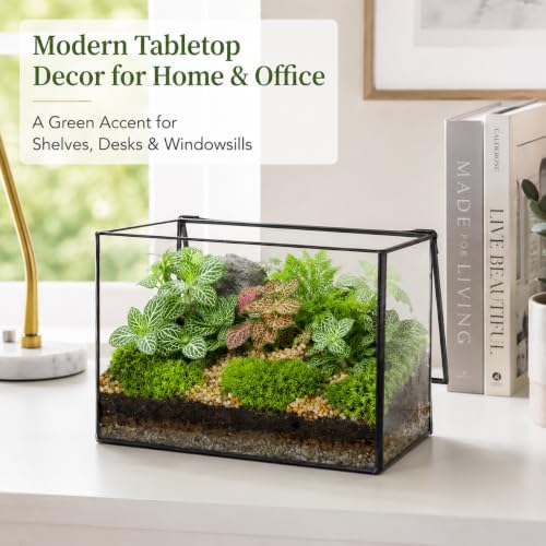 Glass Plant Terrarium with Lid, Rectangular Black Metal Frame Box for Indoor Plants, Clear Glass Container for Moss, Succulent, Fairy Garden, Tabletop Decor DIY Gift, 8.3”L x 4.7”W x 5.5”H - Image 6