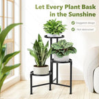 3 Tier Plant Stand Indoor Outdoor Corner, 10 Inch Wide Tray, Metal Black - Image 6