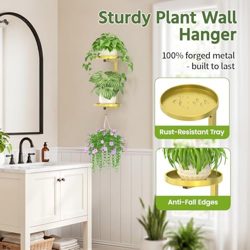 LASZOLA Plant Hanger Holder Window Shelf Wall Mounted Indoor, 2 Pcs Gold - Image 4