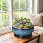 Bonsai Pots, 10 Inch Ceramic Succulent Pots with Saucer, Blue - Image 4