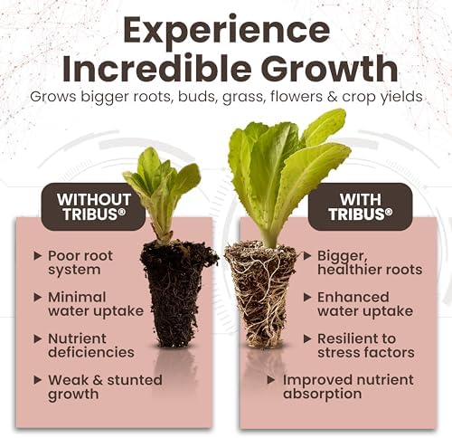 Tribus Organic Microbial Inoculant | Root Booster for Plants, Increases Plant Yield, Root Growth, Flower & Fruit Quality | Made in the USA | Visible Root Growth in 24Hrs | Potent Rhizobacteria 16.9oz - Image 5