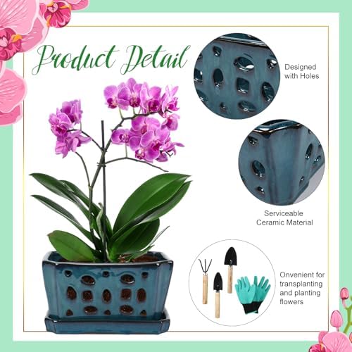 Teenyyou 9.5" Orchid Pot Ceramic with Hole Saucer for Repotting, Blue - Image 3