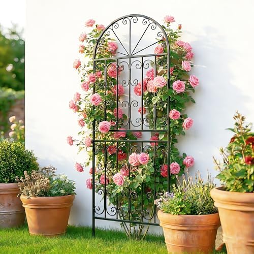 SCENDOR 70.8" H x 24.5" W Decorative Metal Garden Trellis - Rustproof Black Iron Arched Fence for Climbing Roses, Clematis, and Vines - Sturdy Plant Support for Patio, Lawn, and Backyard 1 Pack - Image 4