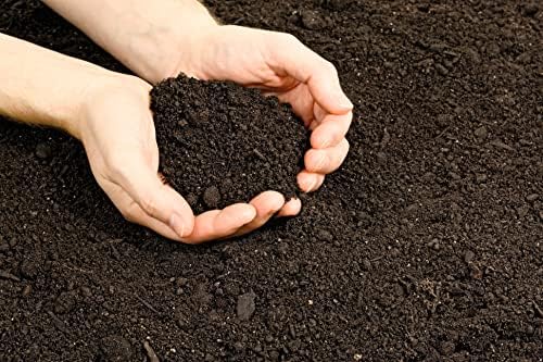 Vermont Compost Company Fort Vee Organic Potting Mix | High-Nutrient Compost-Based Soil for Indoor & Outdoor Container Seed Starting, Plants & Vegetable Gardening | 20 Quarts - Image 7