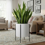 D'vine Dev Plastic Planter Pot with Metal Stand, White, 16 in, 55-D-A-5 - Image 5