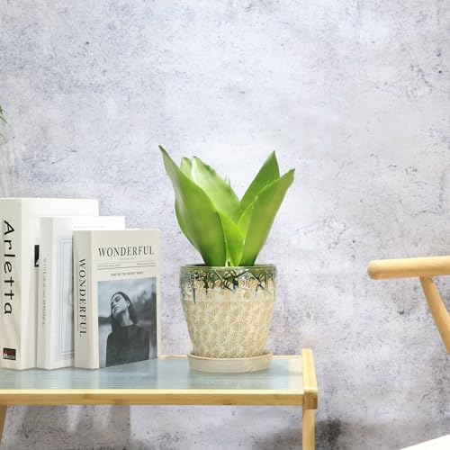 Ceramic Planter Pots for Indoor Plants, 8Inch + 6 Inch Plant Pot with Drainage Holes, Saucers and Mesh Pads, Succulent Orchid Flower Pot -Set of 2 - Image 4