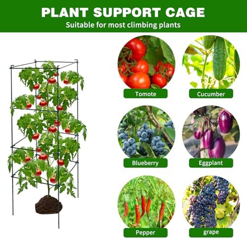 6 Packs Tomato Cages for Garden, 12"×12"×39" Plant Support Cage with Different Spacing, Green Metal Trellis for Climbing Plants Like Cucumber, Flowers - Image 6