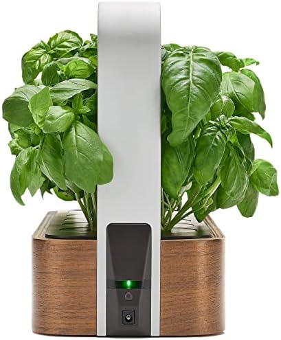 edn Indoor Smart Garden with Basil SeedPods for iOS Devices - Image 6