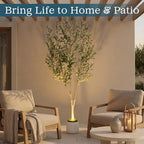 6ft Artificial Olive Tree with LED Light & White Pot - Fake Indoor Plant - Image 5