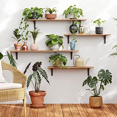 DINZI LVJ Long Wall Shelves, 31.5Inch Wooden Wall Mounted Shelves, Set of 4 - Image 2
