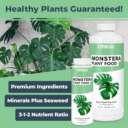 Monstera Plant Food - Liquid Fertilizer for Bigger, Healthier Leaves, 1 Gal - Image 2