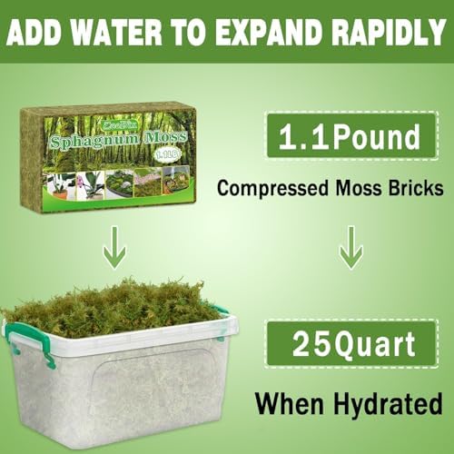 Sphagnum Moss 4.4 LB Long Fiber Green Forest Moss - Image 4