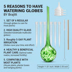 Plant Watering Globes, 6pcs Automatic Glass Watering Bulbs, Decorative Garden Watering Glass drip Ball with 6 Tags - Image 2